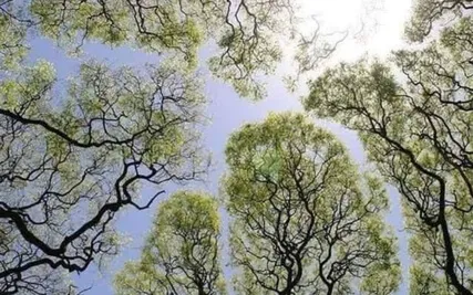 13/22 Channeled Energy Work Meditation: Djehuty & Metatron