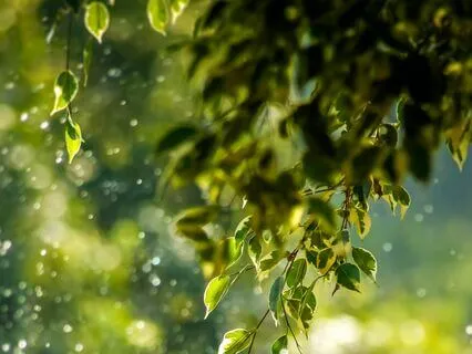 13-Minute Yoga Nidra For Relaxation