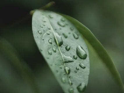 135 Hz - Frequencies For Deep Meditation