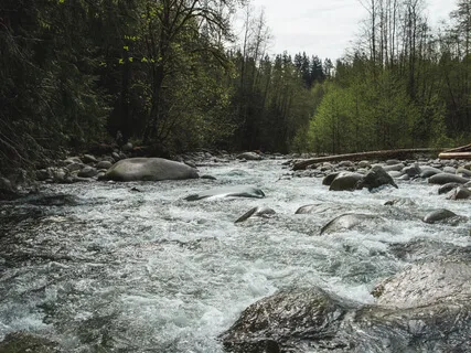 14 Minute BodyScan & SoundBath (Extended Music)