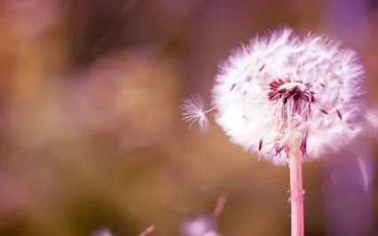 14-Minute Letting Go Meditation