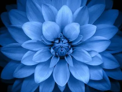 14-Minute Somatic Meditation On Love