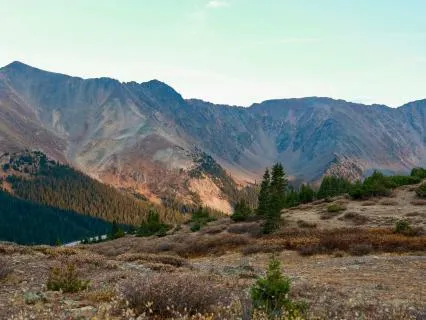 14 Minute Yoga Nidra: Breath, Rotation, Opposites, Screen