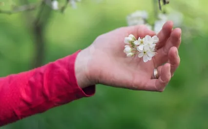 14 Minute Yoga Nidra To Reset And Renew