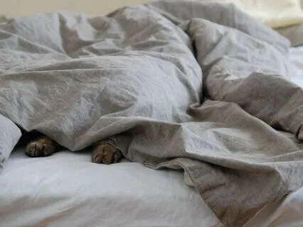 15分鐘睡眠瑜伽 - 身體放鬆 (廣東話)