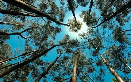 15/22 Channeled Energy Work Meditation: Djehuty & Metatron