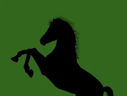 15 Black Beauty - Read By Stephanie Poppins