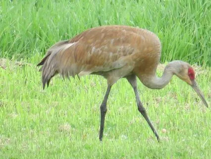 15 Items To Help You Stay Balanced