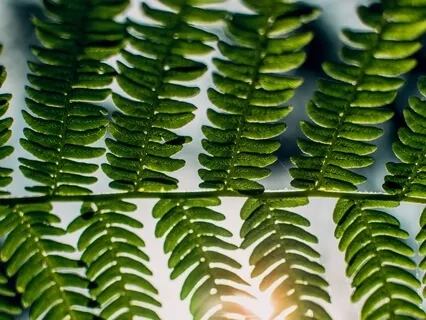 15-Minute Body Scan For First Responders