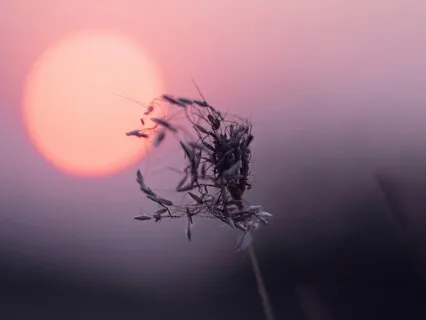 15-Min Deeply Calming Breathwork (4-7-8): Release & Restore