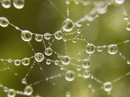 15 Min Guided Effortless Meditation On A Rainy Day