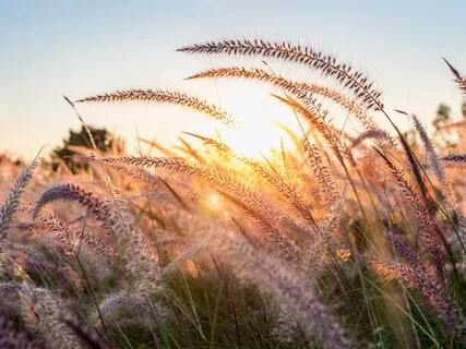 15 Min Kroppscanning/ Kroppskanning Mindfulnessmeditation