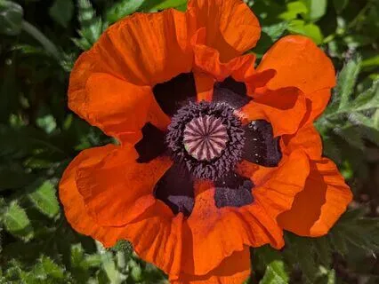 15 Min Short Recharge Yoga Nidra