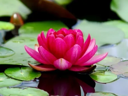 15-Min Yoga Nidra With Affirmations For Deep Rest & Healing