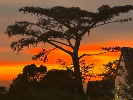 15 Minute Body Scan From Jerry C