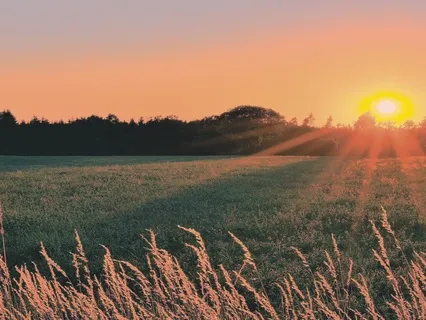 Coming Home To Your Body