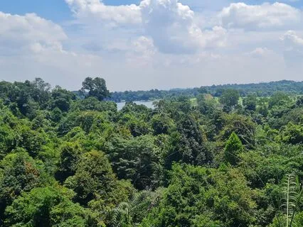 15 Minute Body Scan Meditation. MBSR Body Scan.