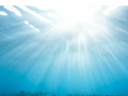 15 Minute Breath Body Sounds Mindfulness Meditation