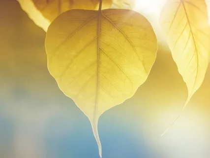 15 Minute Breath Practice For Mindful Awareness