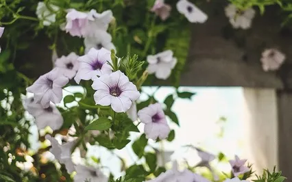 15 Minute Calming Meditation (With Binaural Beats)