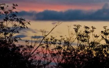 15 Minute Evening Wind Down - Gentle Yoga Stretch
