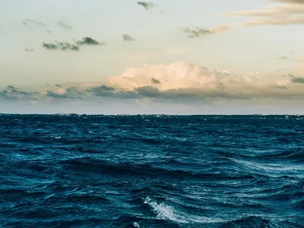 15-Minute Guided Curiosity - The Ocean