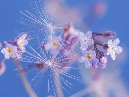 15 Minute Full Body Yoga Nidra