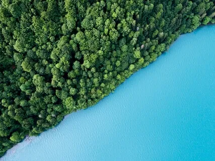 15 Minute Healing Yoga Nidra