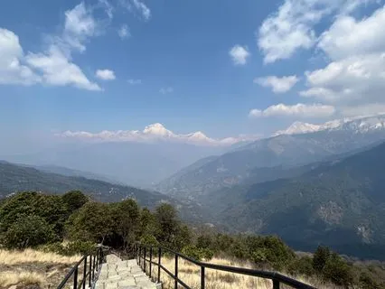 15-Minute Higher Self Journey • Yoga Nidra For Insight