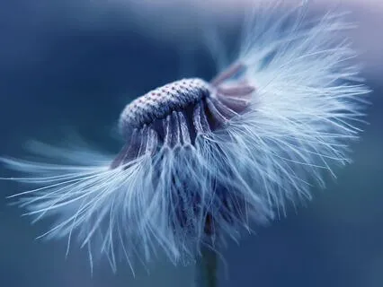 15-Minute Meditation For Chronic Pain