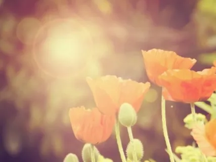 15 Minute Practice For Inner Peace