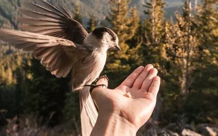 15 Minute Meditation Music For Relaxing, Sleeping Or Study