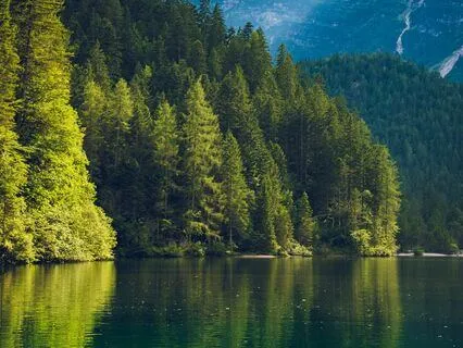 15-Minute Mindful Breathing Meditation: Focus & Relax