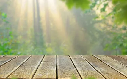 15 Minute Mindfulness Meditation