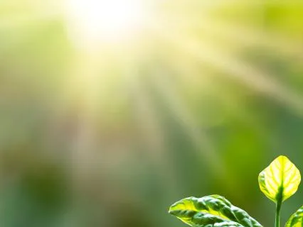 15 Minute Morning Meditation For Self Belief