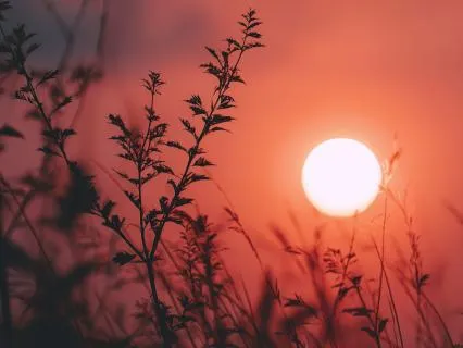 15-Minute Music for Soothing the Mind and Meditation