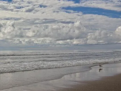 Sea Of Meditation (15min)