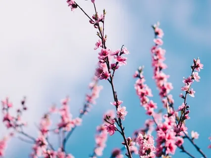 15 Minute Seated Mindful Movement (MBSR) 