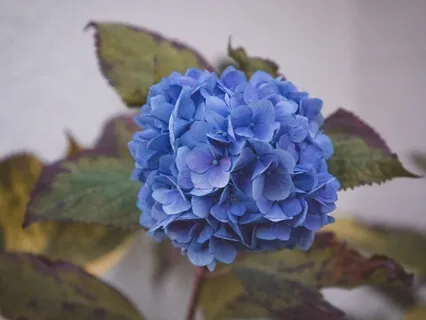 15 Minute Self-Trustd