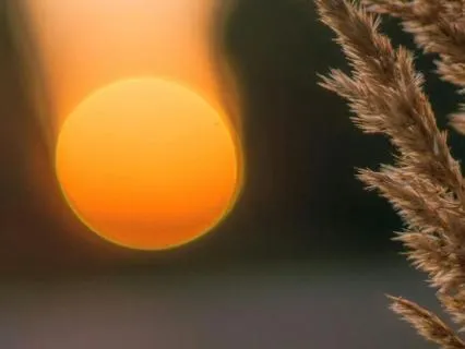 15 Minute Sleep Wind Down