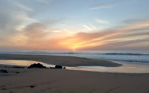 15 Minute Study Music To Calm Down & Release Anxiety