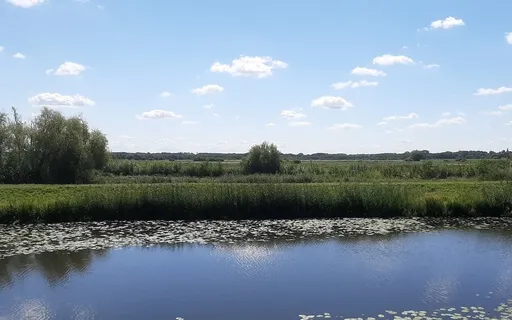 15 Minute Subliminals Focus Music 