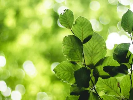 15-Minute Trauma Sensitive Yoga (TSY) Practice