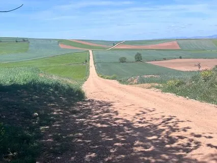 15-Minute Walking Meditation For Purpose And Presence