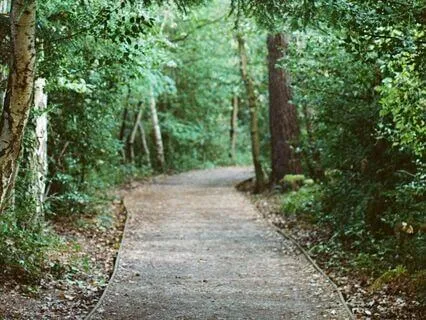 15 Minute Walking Meditation (with Music)