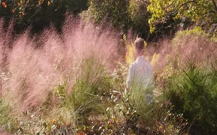 15 Minute Work Break Meditation