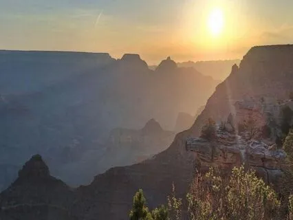 15-Minute Yoga Nidra/NSDR: Embracing Spaciousness For Peace