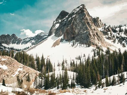 15-Minute Yoga Nidra/NSDR For Difficulty Falling Asleep