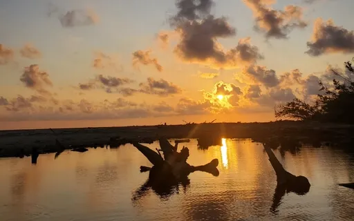 15 Minutes Into Full Body Relaxation