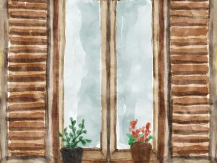 17 Room With A View - Guided Literature